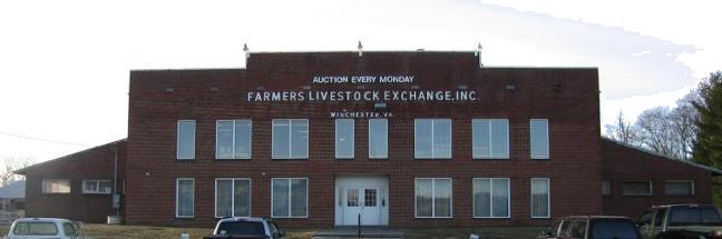 winchester virginia livestock auction