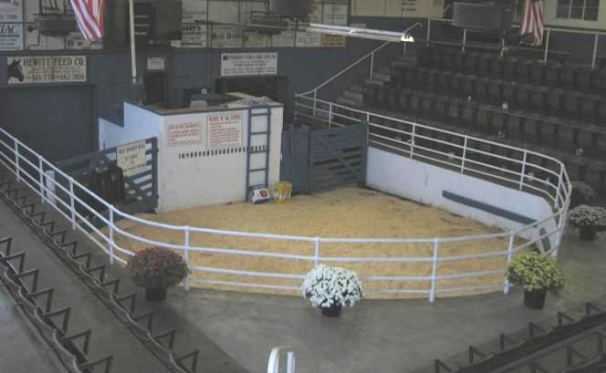 winchester va livestock auction