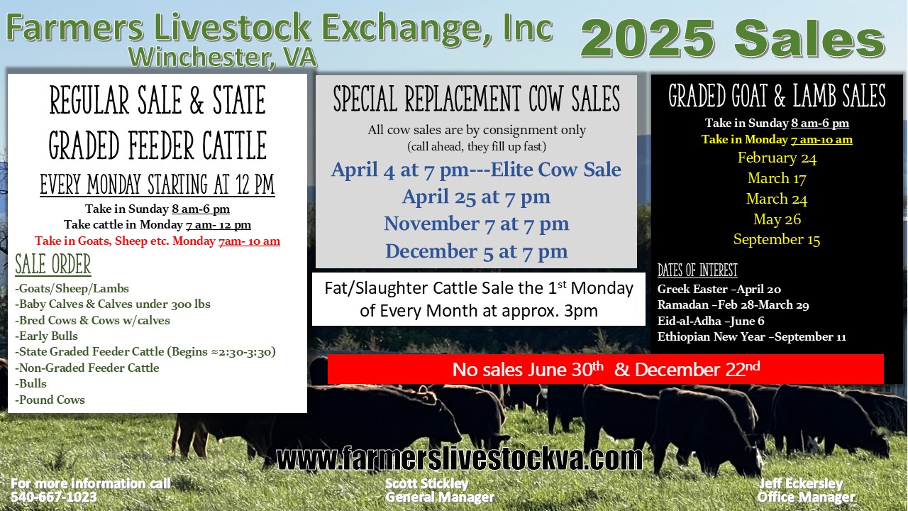 2025_sale_schedule.jpg