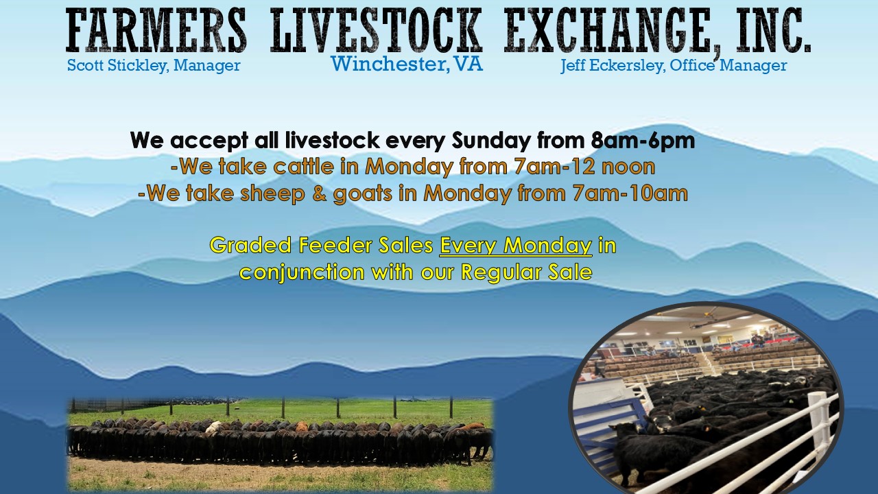 Farmers Livestock Exchange weekly receiving times and graded feeder sale information
